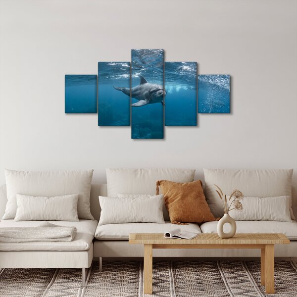 Obraz - Delfín pod hladinou (125x70 cm)