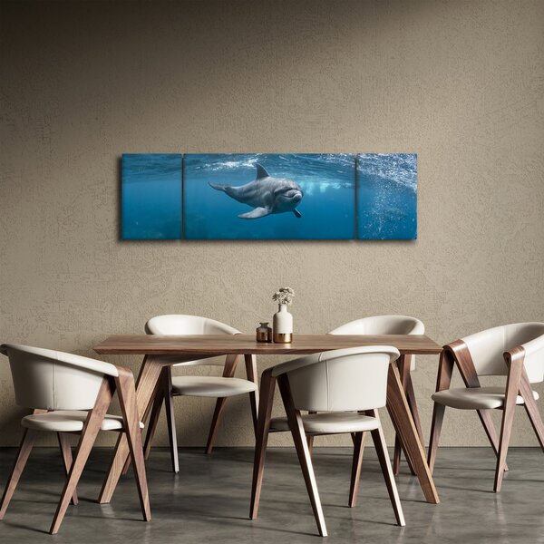 Obraz - Delfín pod hladinou (170x50 cm)
