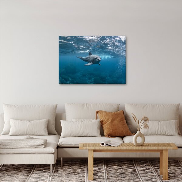 Obraz - Delfín pod hladinou (70x50 cm)