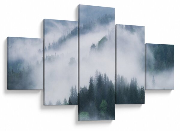 Obraz - Stromy v mlze (125x70 cm)