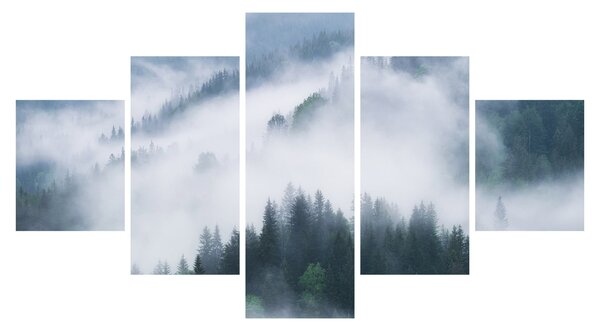 Obraz - Stromy v mlze (125x70 cm)
