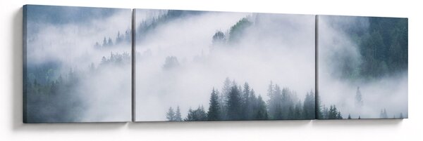 Obraz - Stromy v mlze (170x50 cm)