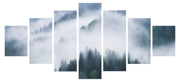 Obraz - Stromy v mlze (210x100 cm)