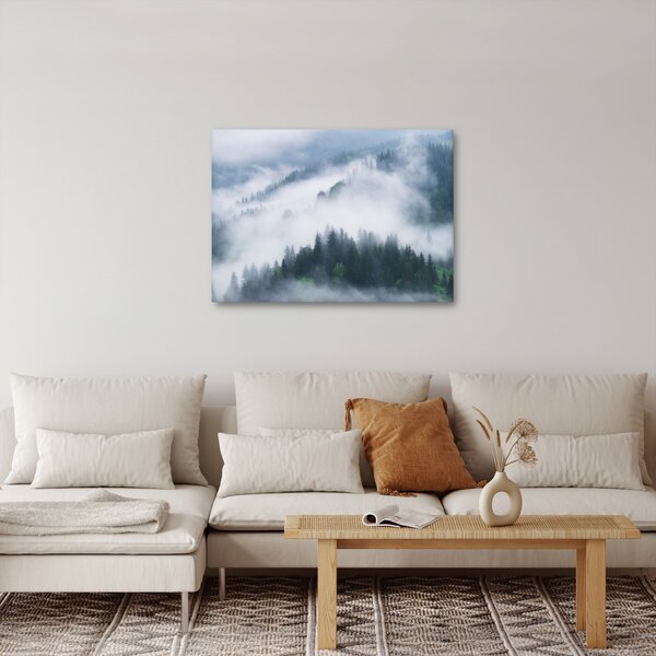 Obraz - Stromy v mlze (70x50 cm)