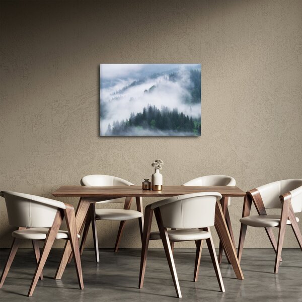 Obraz - Stromy v mlze (70x50 cm)