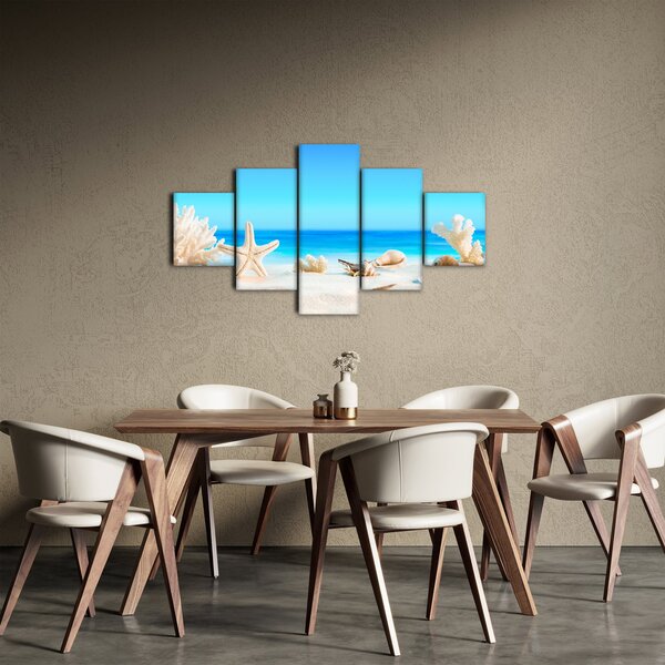 Obraz - Zátiší s mušlemi (125x70 cm)