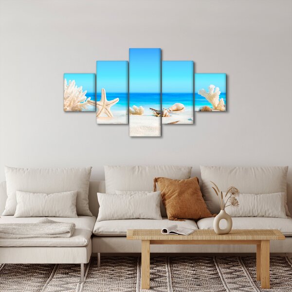 Obraz - Zátiší s mušlemi (125x70 cm)