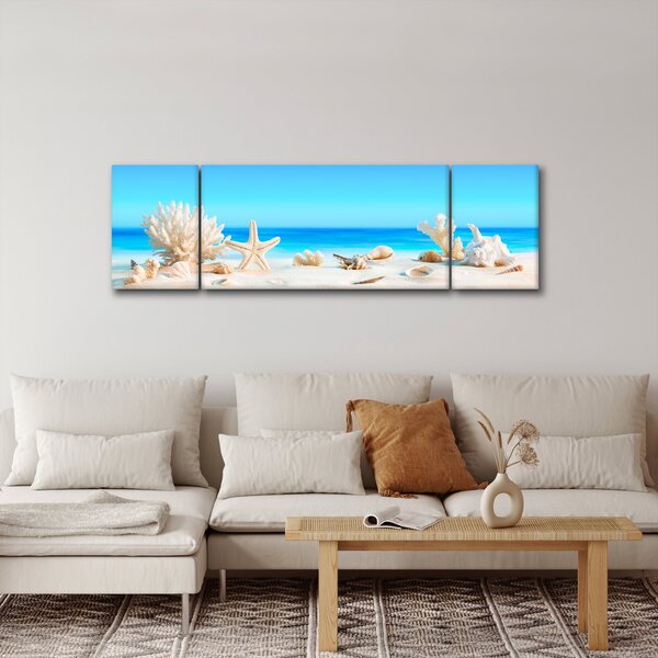 Obraz - Zátiší s mušlemi (170x50 cm)