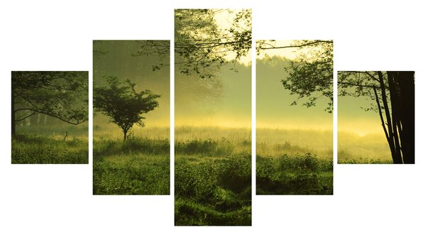 Obraz - Probouzející se les (125x70 cm)