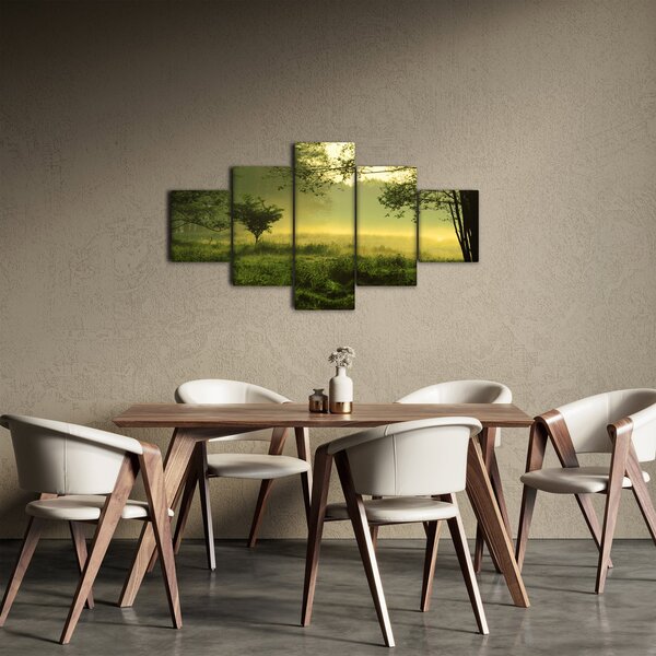 Obraz - Probouzející se les (125x70 cm)