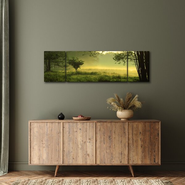 Obraz - Probouzející se les (170x50 cm)