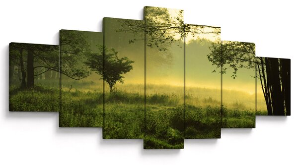 Obraz - Probouzející se les (210x100 cm)