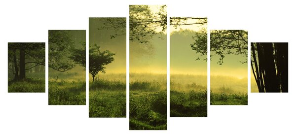 Obraz - Probouzející se les (210x100 cm)