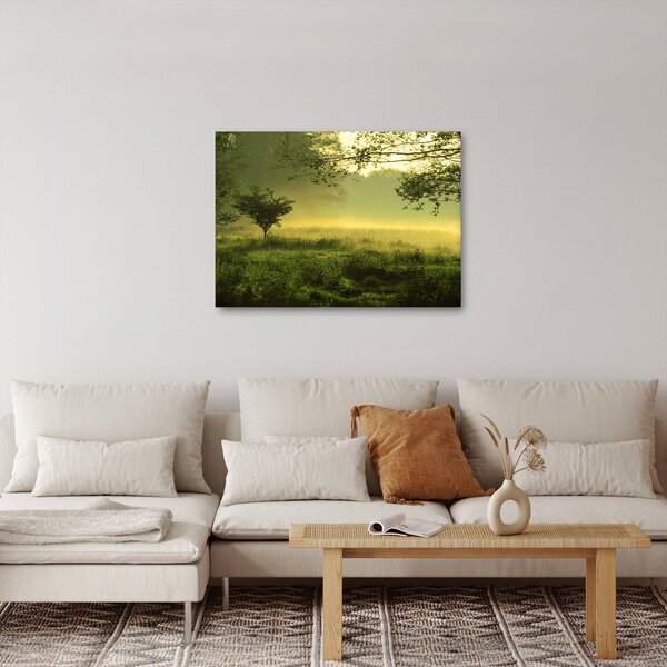 Obraz - Probouzející se les (70x50 cm)