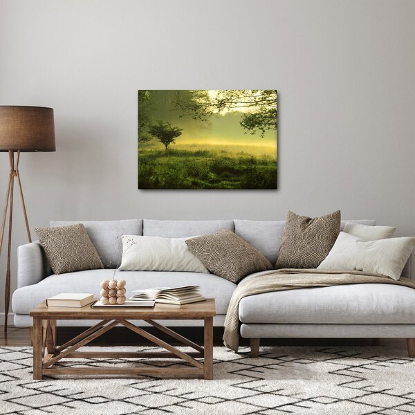 Obraz - Probouzející se les (70x50 cm)