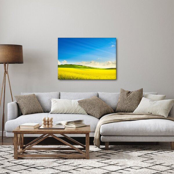 Obraz - Jarní nebe (70x50 cm)