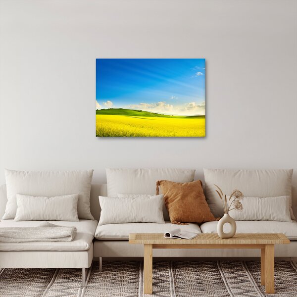 Obraz - Jarní nebe (70x50 cm)