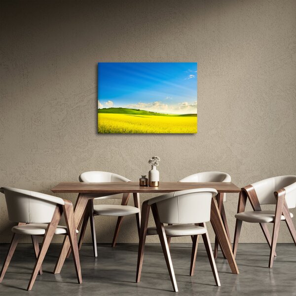 Obraz - Jarní nebe (70x50 cm)