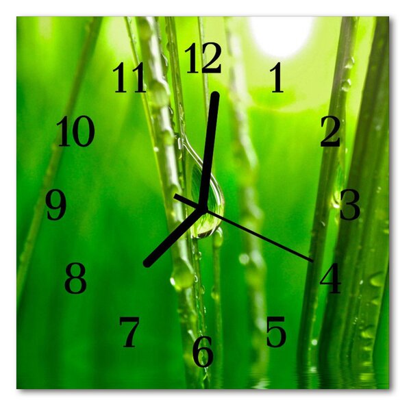 Skleněné hodiny čtvercové Kapky trávy 30x30 cm