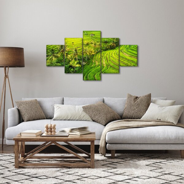 Obraz - Rýžové terasy (125x70 cm)