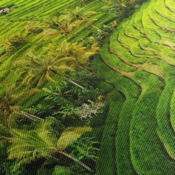 Obraz - Rýžové terasy (210x100 cm)