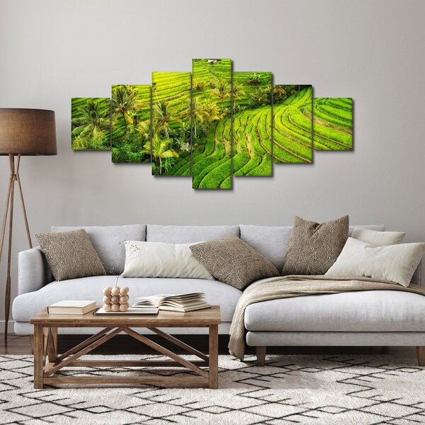 Obraz - Rýžové terasy (210x100 cm)