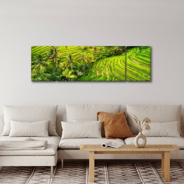 Obraz - Rýžové terasy (170x50 cm)