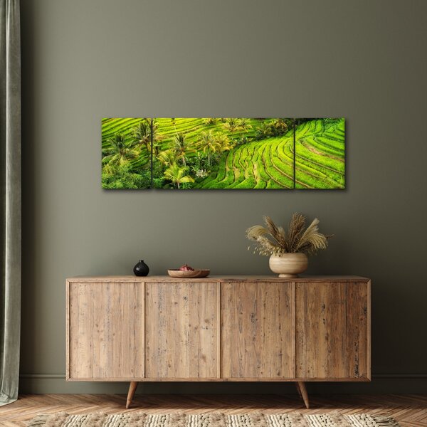 Obraz - Rýžové terasy (170x50 cm)