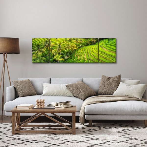 Obraz - Rýžové terasy (170x50 cm)