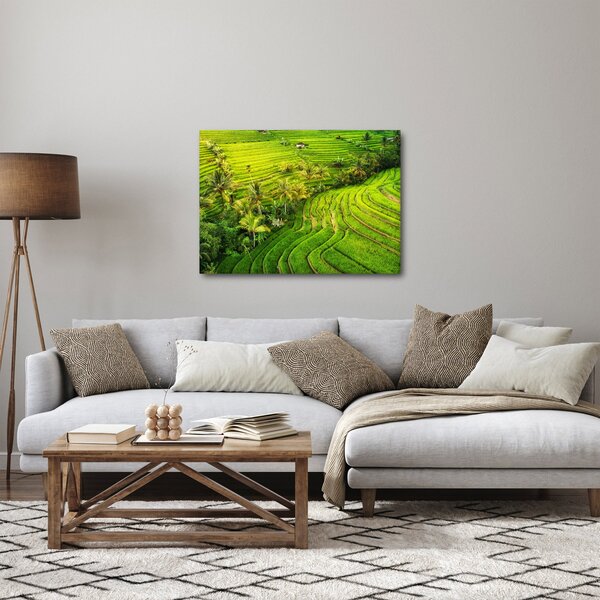 Obraz - Rýžové terasy (70x50 cm)