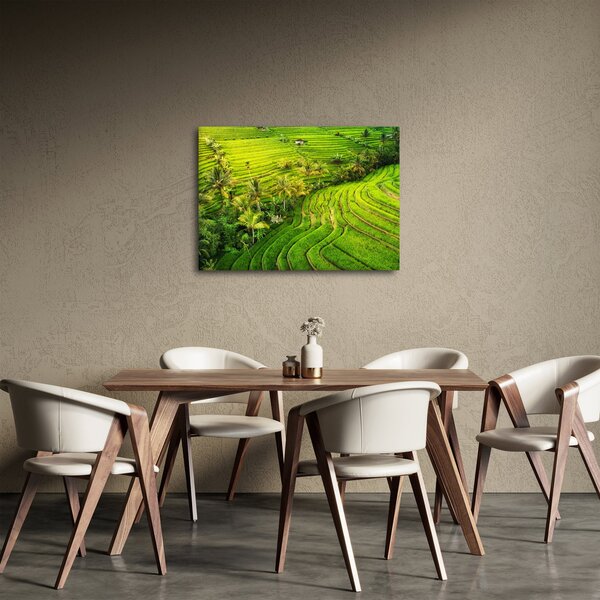 Obraz - Rýžové terasy (70x50 cm)