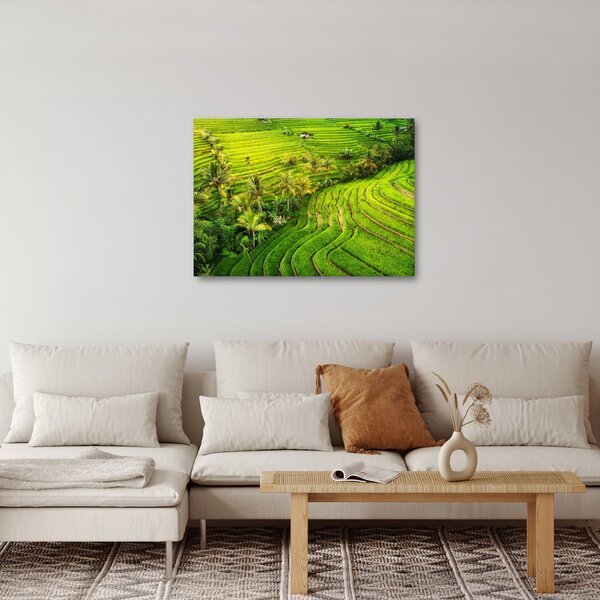 Obraz - Rýžové terasy (70x50 cm)