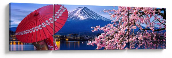 Obraz - Výhled na vrchol, Japonsko (170x50 cm)