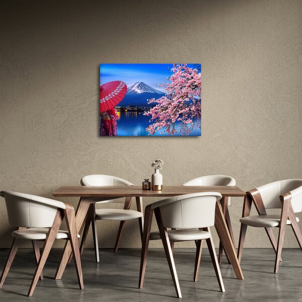Obraz - Výhled na vrchol, Japonsko (70x50 cm)