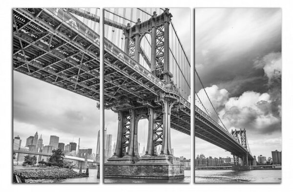 Obraz na stěnu Černobílý obraz Most Brooklyn