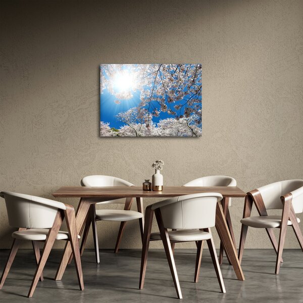 Obraz - Třešňové květy (70x50 cm)