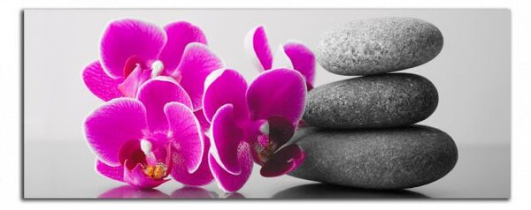 Obraz na plátně Orchideje se zen kameny