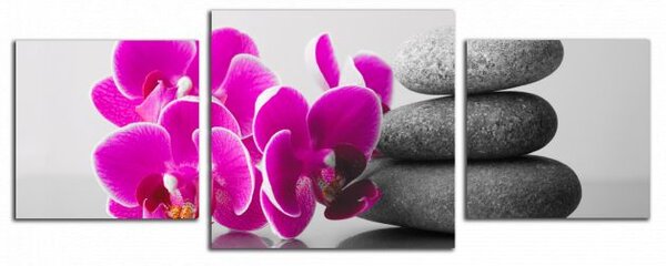 Obraz na plátně Orchideje se zen kameny