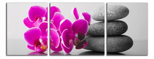 Obraz na plátně Orchideje se zen kameny