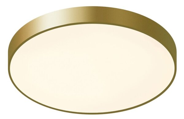 Italux 5361-860RC-GD-3 LED stropní svítidlo Orbital D600mm 60W/3600lm 3000K zlatá, bílá