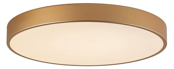 Italux 5361-860RC-GD-3 LED stropní svítidlo Orbital D600mm 60W/3600lm 3000K zlatá, bílá