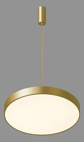 Italux 5361-830RP-GD-3 LED závěsné svítidlo Orbital D400mm 30W/1800lm 3000K zlatá, bílá