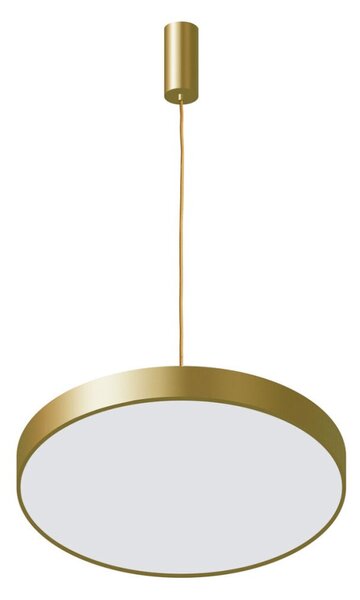 Italux 5361-830RP-GD-3 LED závěsné svítidlo Orbital D400mm 30W/1800lm 3000K zlatá, bílá
