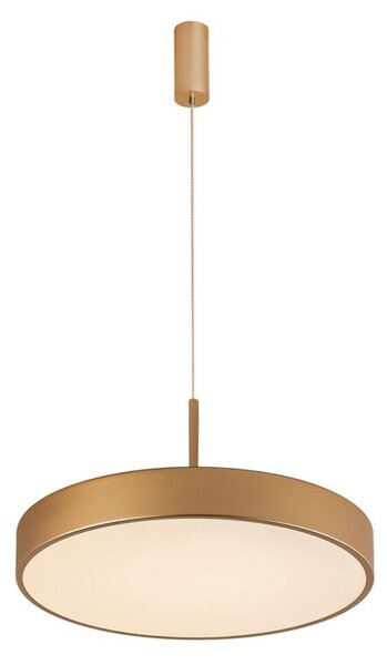 Italux 5361-830RP-GD-3 LED závěsné svítidlo Orbital D400mm 30W/1800lm 3000K zlatá, bílá