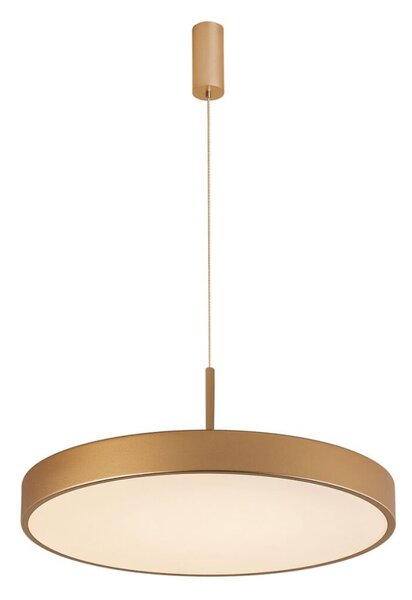 Italux 5361-860RP-GD-3 LED závěsné svítidlo Orbital D600mm 60W/3600lm 3000K zlatá, bílá