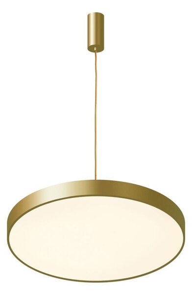 Italux 5361-860RP-GD-3 LED závěsné svítidlo Orbital D600mm 60W/3600lm 3000K zlatá, bílá