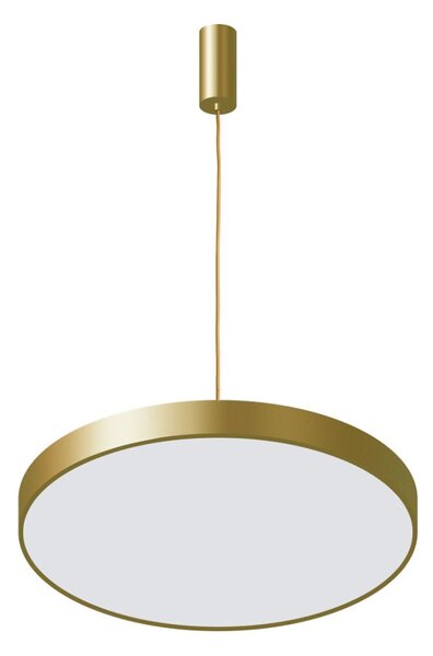 Italux 5361-860RP-GD-3 LED závěsné svítidlo Orbital D600mm 60W/3600lm 3000K zlatá, bílá