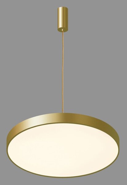 Italux 5361-860RP-GD-3 LED závěsné svítidlo Orbital D600mm 60W/3600lm 3000K zlatá, bílá