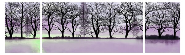 Obraz - Pramice na jezeře (170x50 cm)