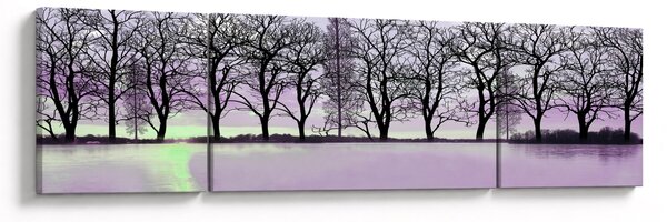Obraz - Pramice na jezeře (170x50 cm)